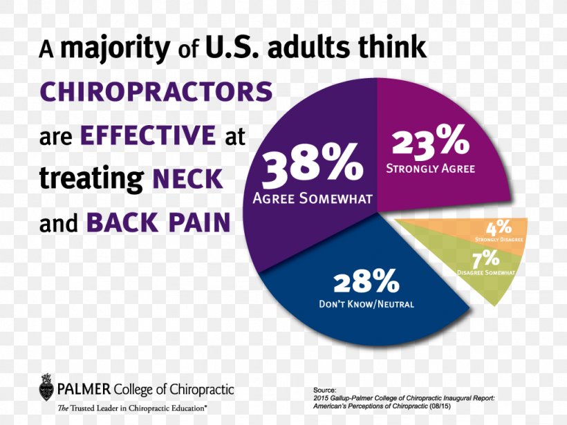 Palmer College Of Chiropractic Low Back Pain Chiropractor, PNG, 1024x768px, Palmer College Of Chiropractic, Ache, American Chiropractic Association, Area, Back Pain Download Free