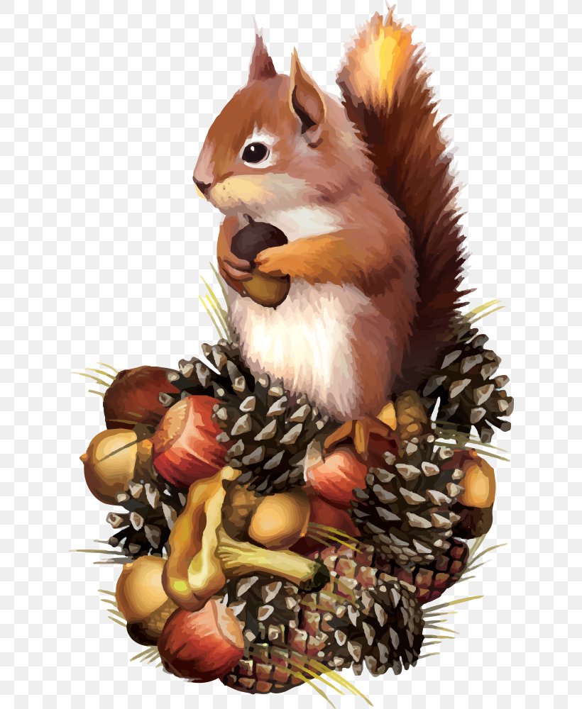 Squirrel Chipmunk Clip Art, PNG, 628x1000px, Squirrel, Chipmunk, Drawing, Eastern Gray Squirrel, Illustration Download Free