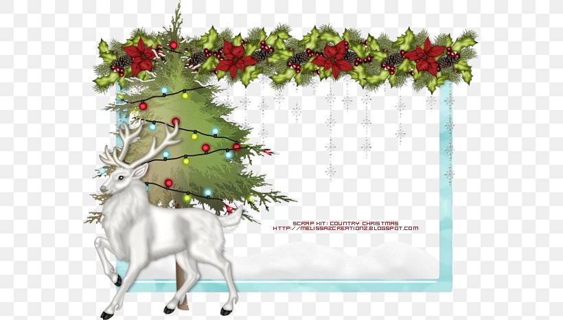 Christmas Ornament Christmas Tree Fir, PNG, 577x466px, Christmas Ornament, Antler, Aquifoliaceae, Aquifoliales, Blog Download Free