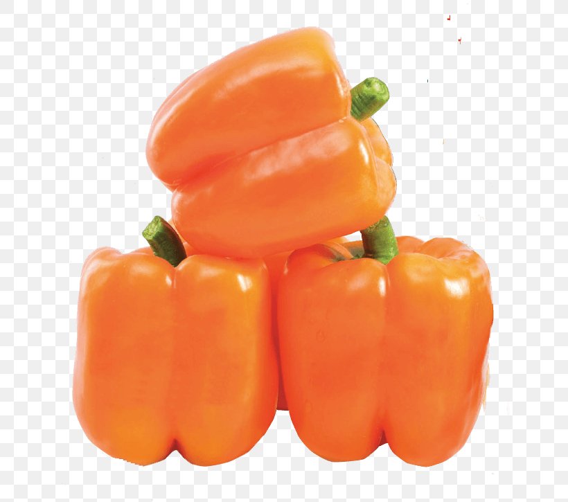 Red Bell Pepper Chili Pepper Vegetable Peperoncino, PNG, 696x725px, Bell Pepper, Bell Peppers And Chili Peppers, Bhut Jolokia, Capsicum, Capsicum Annuum Download Free