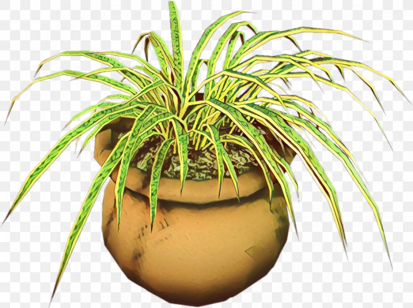 Coconut Flowerpot Palm Trees Houseplant Grasses, PNG, 929x693px, Coconut, Arecales, Bromeliaceae, Flower, Flowering Plant Download Free