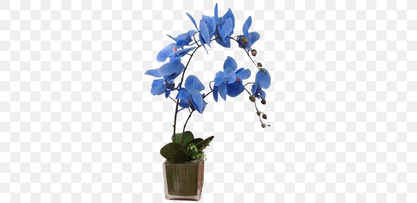 Cut Flowers Flowerpot Floral Design Flowering Plant, PNG, 800x400px, Cut Flowers, Blue, Branch, Branching, Cobalt Blue Download Free