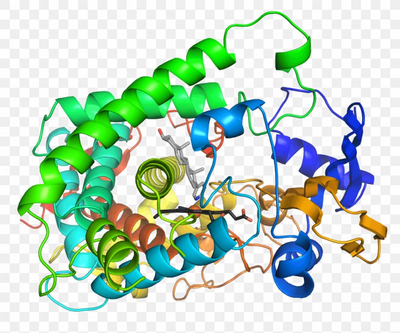 Enzyme Activation Energy Catalysis Cytochrome P450 Active Site, PNG ...