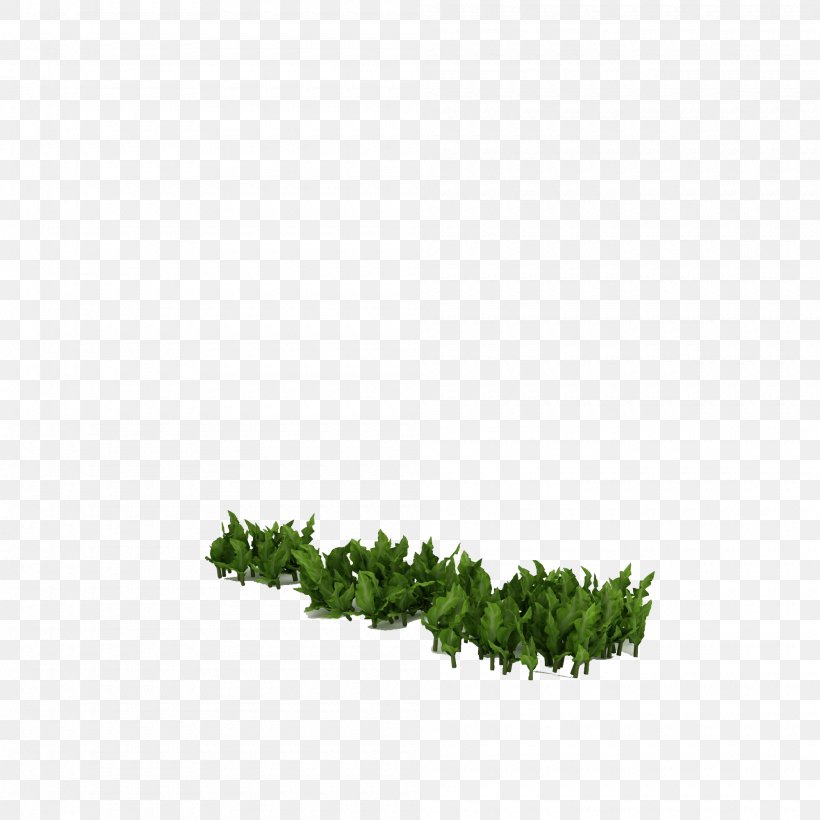 Icon, PNG, 2000x2000px, Green, Grass, Leaf, Oue Property Services Pte Ltd, Plant Download Free