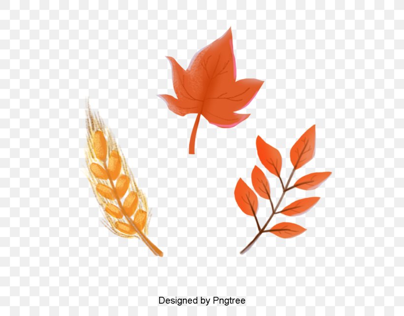 Autumn Tree Silhouette, PNG, 640x640px, 3 Dimensi, Autumn, Animal, Cartoon, Deciduous Download Free