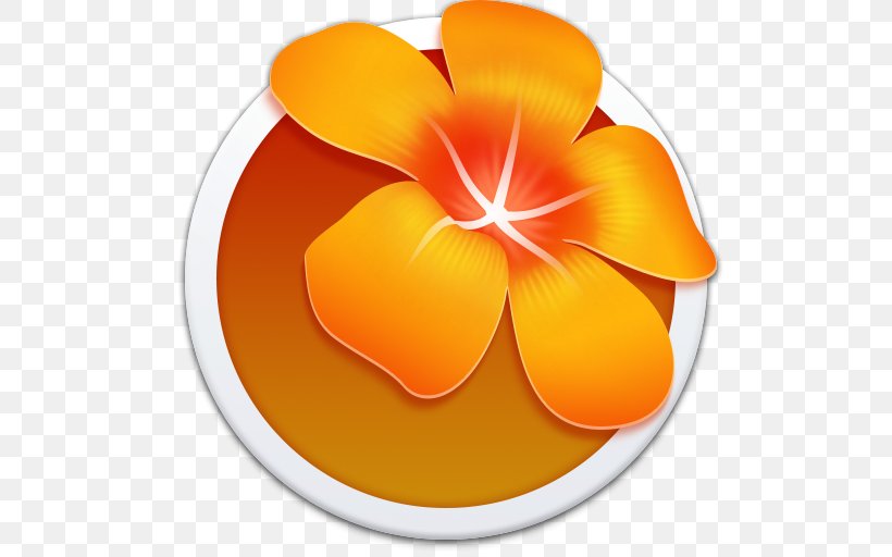 Orange Petal Flower Yellow, PNG, 512x512px, Windows 8, Adobe After Effects, App Store, Computer Software, Flower Download Free
