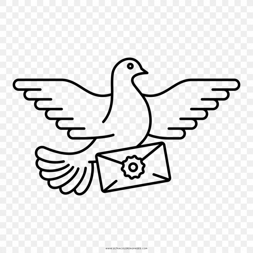 Jett Transprot Business Drawing Homing Pigeon Paper, PNG, 1000x1000px, Business, Area, Art, Artwork, Beak Download Free