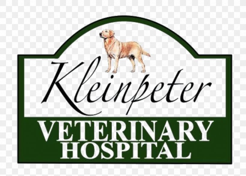 Kleinpeter Veterinary Hospital Labrador Retriever Cat Veterinarian Dog Daycare, PNG, 875x625px, Labrador Retriever, Advertising, Animal, Area, Banner Download Free