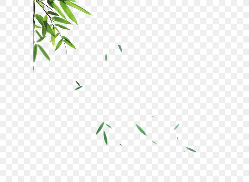 Leaf Image Bamboo Illustration, PNG, 600x600px, Leaf, Bamboo, Comedo, Cura, Grass Download Free