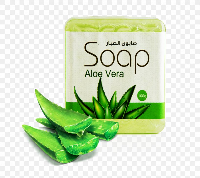 Soap Aloe Cactus Nature Skin Care, PNG, 1125x1000px, Soap, Aloe Vera, Aloes, Cactus, Coconut Oil Download Free