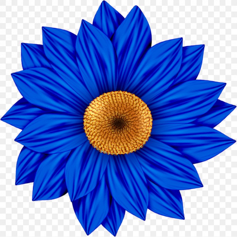Common Sunflower Desktop Wallpaper Clip Art, PNG, 1022x1024px, Flower, Blue, Cobalt Blue, Color, Common Daisy Download Free
