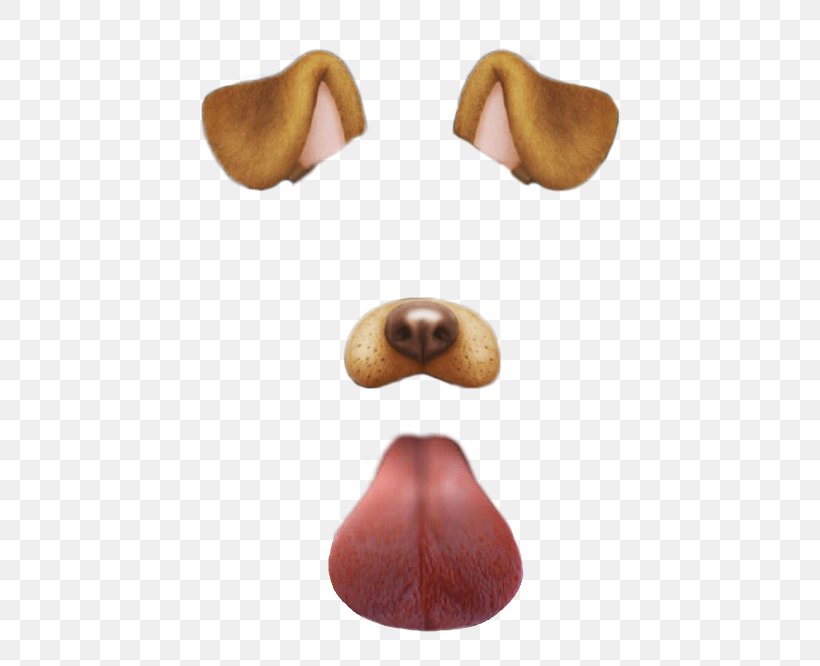 Dalmatian Dog Snapchat Clip Art, PNG, 422x666px, Dalmatian Dog, Dog, Editing, Nose, Pet Download Free
