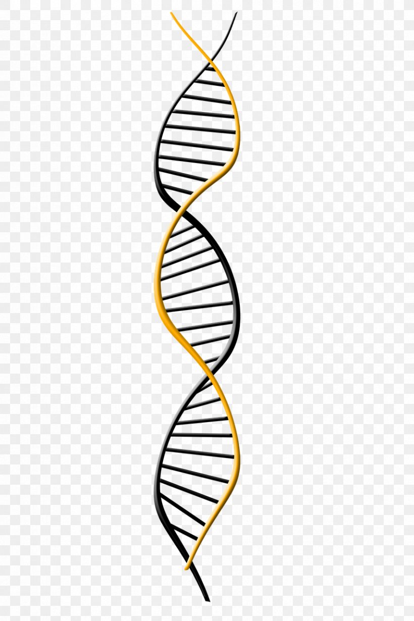 Genetics DNA Extraction Genome, PNG, 853x1280px, Genetics, Area, Artwork, Branch, Disease Download Free