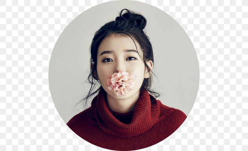 IU South Korea K-pop Actor Korean, PNG, 500x500px, Watercolor, Cartoon, Flower, Frame, Heart Download Free