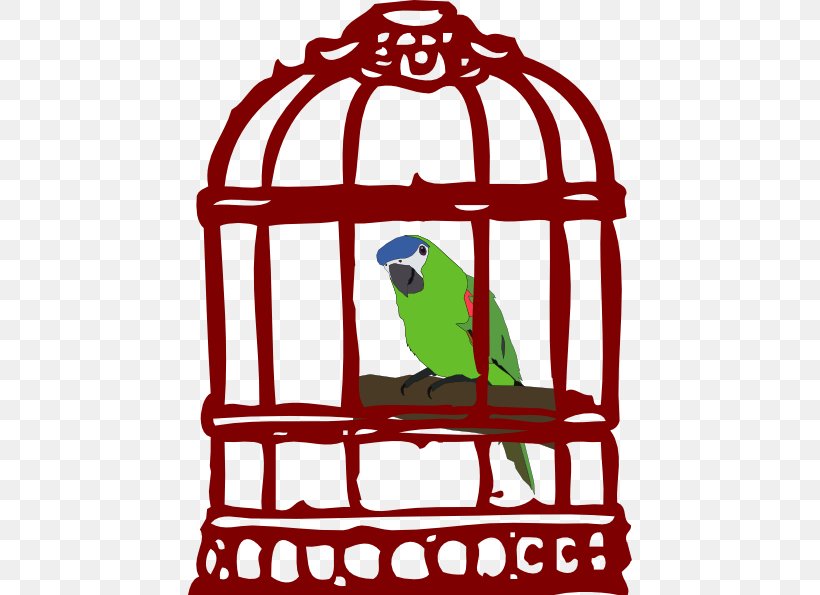 Parrot Birdcage Cartoon Clip Art, PNG, 444x595px, Parrot, Area, Artwork, Beak, Bird Download Free