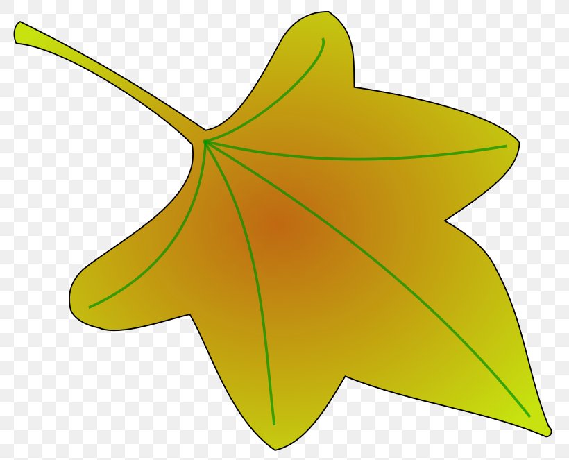 Clip Art Openclipart Vector Graphics Leaf Image, PNG, 800x663px, Leaf, Drawing, Fig Leaf, Flower, Flowering Plant Download Free