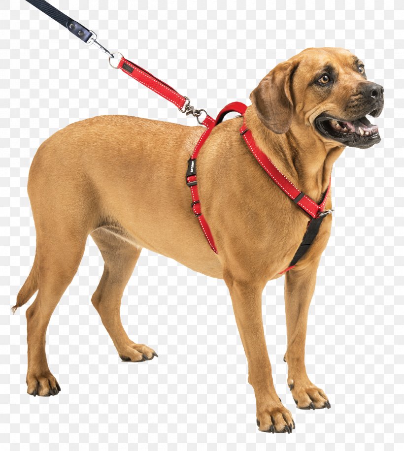 Dog Harness Puppy Dog Collar Leash, PNG, 2420x2705px, Dog, Collar, Companion Dog, Dog Breed, Dog Clothes Download Free