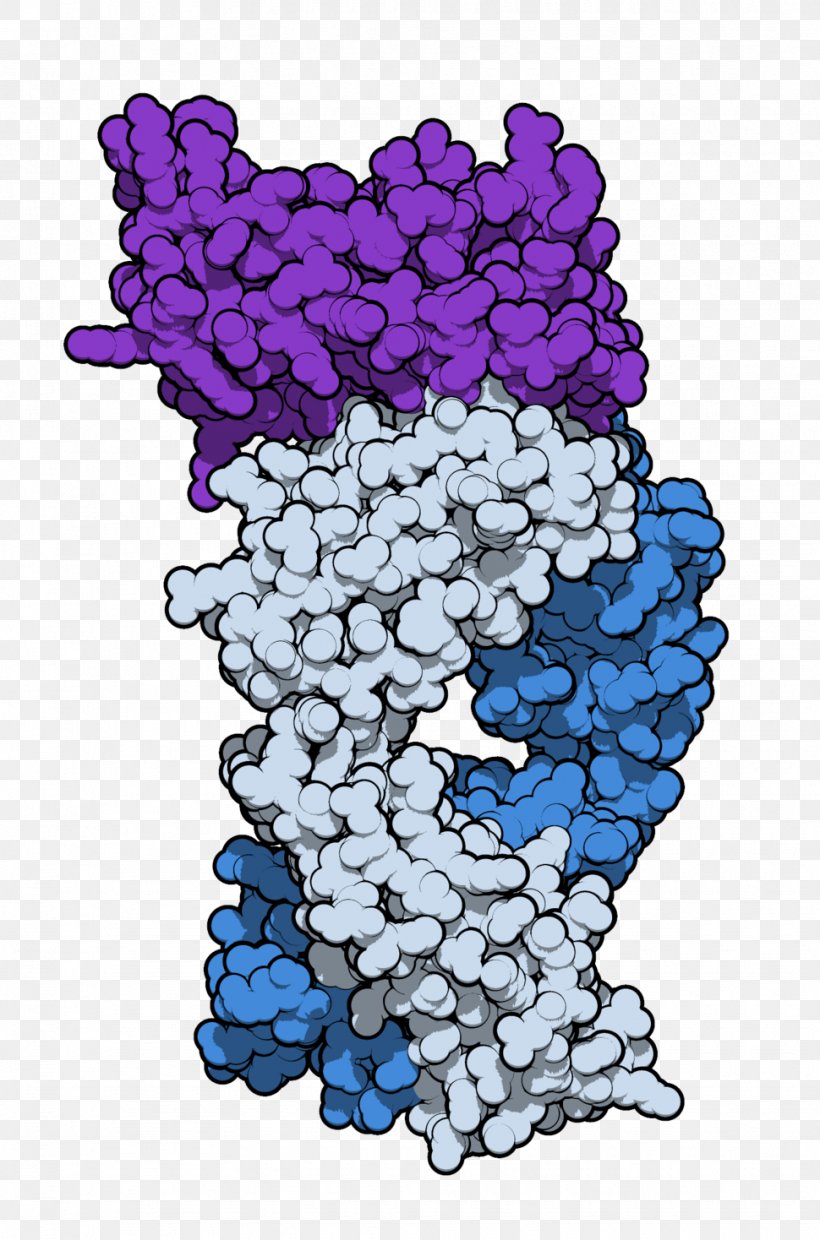 Sifalimumab Systemic Lupus Erythematosus Anifrolumab Dermatomyositis Polymyositis, PNG, 970x1468px, Systemic Lupus Erythematosus, Adverse Effect, Antibody, Cobalt Blue, Electric Blue Download Free