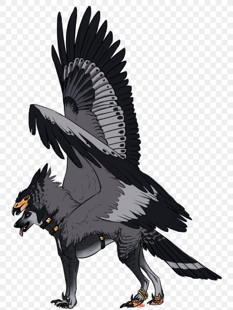 Bald Eagle Vulture Beak Fauna, PNG, 1024x1360px, Bald Eagle, Beak, Bird, Bird Of Prey, Eagle Download Free