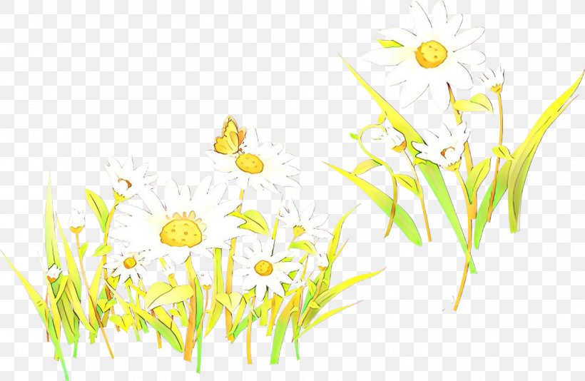 Floral Flower Background, PNG, 1199x782px, Cartoon, Camomile, Chamomile, Chamomiles, Daisy Family Download Free