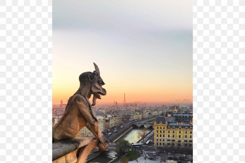 Notre-Dame De Paris Gargoyle Statue Notebook, PNG, 1024x682px, Notredame De Paris, Book, City, Diary, France Download Free