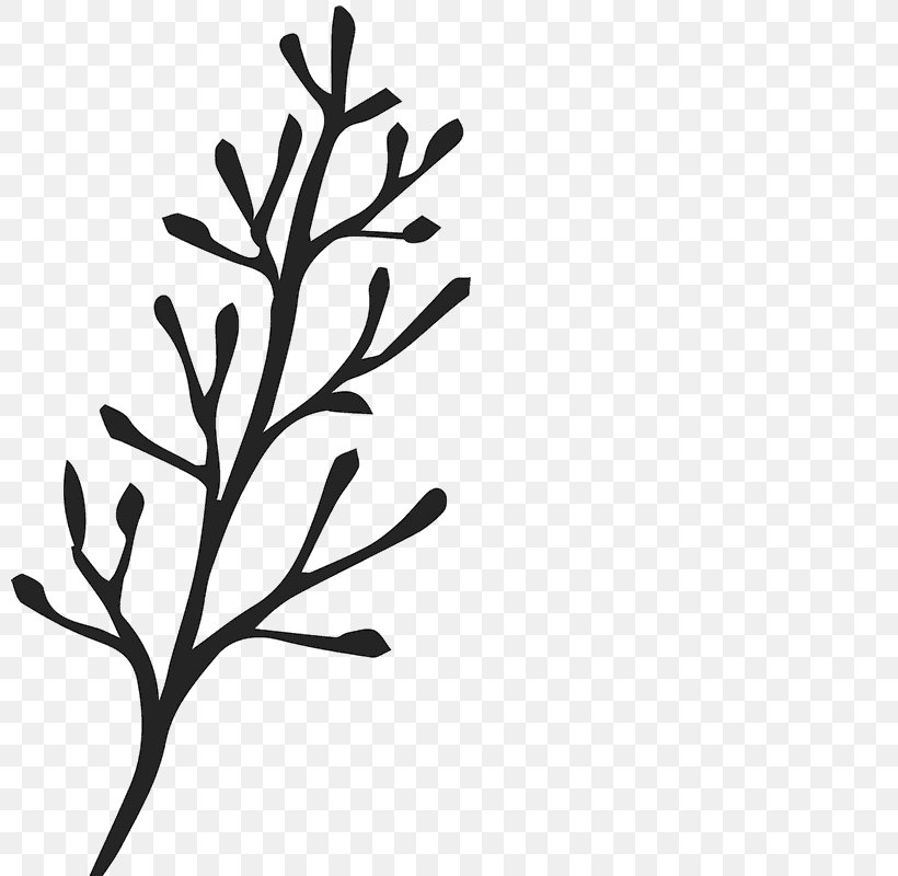 Postage Stamps Branch Rubber Stamp Twig Mail, PNG, 800x800px, Postage Stamps, Black And White, Branch, Flora, Flower Download Free