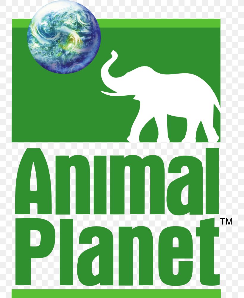 Animal Planet Television Channel, PNG, 741x1000px, Animal Planet, Animal, Animal Shelter, Area, Brand Download Free