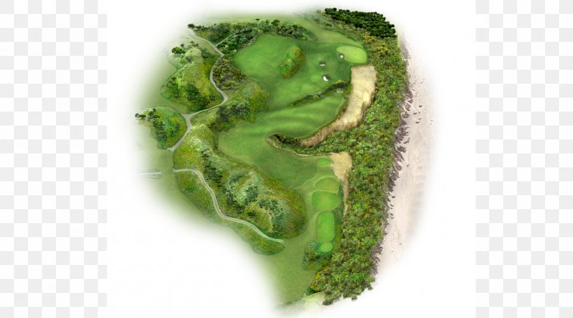Augusta National Golf Club Masters Tournament Par Golf Clubs, PNG, 1300x724px, Augusta National Golf Club, Broccoli, Food, Game, Golf Download Free