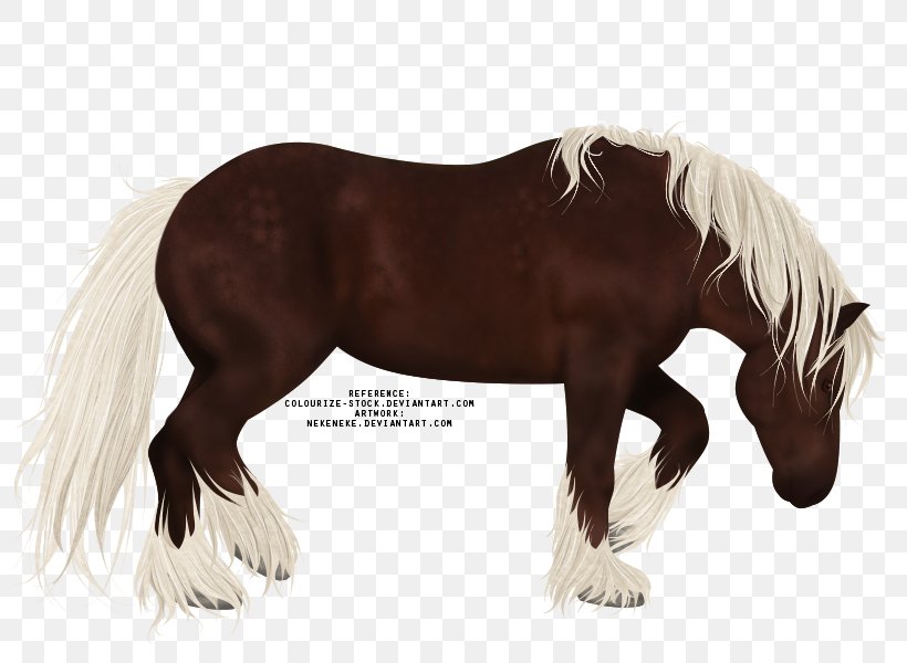 Mane Mustang Stallion Pony Mare, PNG, 800x600px, Mane, Animal Figure, Florida Kraze Krush Soccer Club, Fur, Halter Download Free