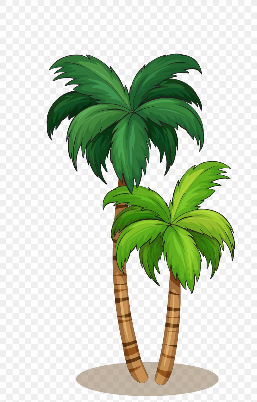 Arecaceae Royalty-free Illustration, PNG, 1173x1839px, Arecaceae, Arecales, Coconut, Flowerpot, Grass Download Free