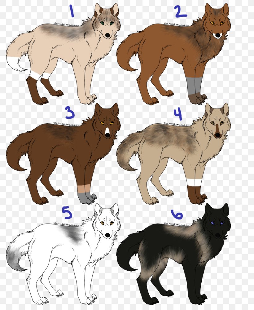 Dog Cat Red Fox Tail, PNG, 800x1000px, Dog, Carnivoran, Cat, Cat Like Mammal, Dog Breed Download Free