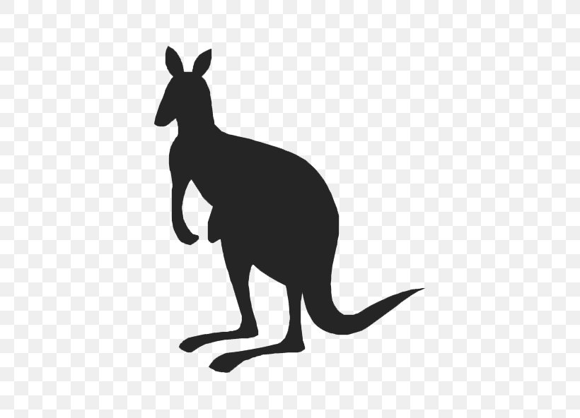 Kangaroo Silhouette Drawing Clip Art, PNG, 640x592px, Kangaroo, Animal, Black And White, Conceptdraw Office, Conceptdraw Pro Download Free