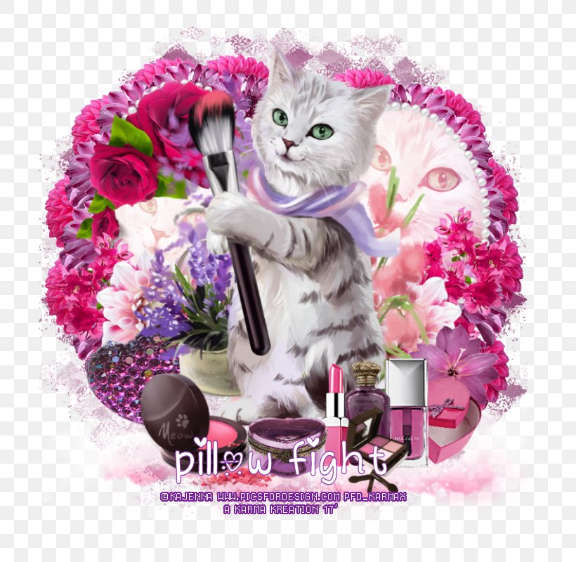 Kitten Meow Cayenne Email Cut Flowers, PNG, 800x800px, 2017, Kitten, Cat, Cat Like Mammal, Cayenne Download Free
