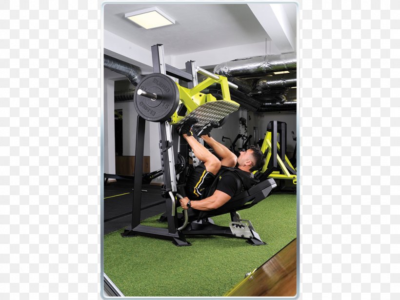 Physical Fitness Fitness Centre Training Shoulder Sports Venue, PNG, 1024x768px, Physical Fitness, Exercise Equipment, Exercise Machine, Fitness Centre, Gym Download Free