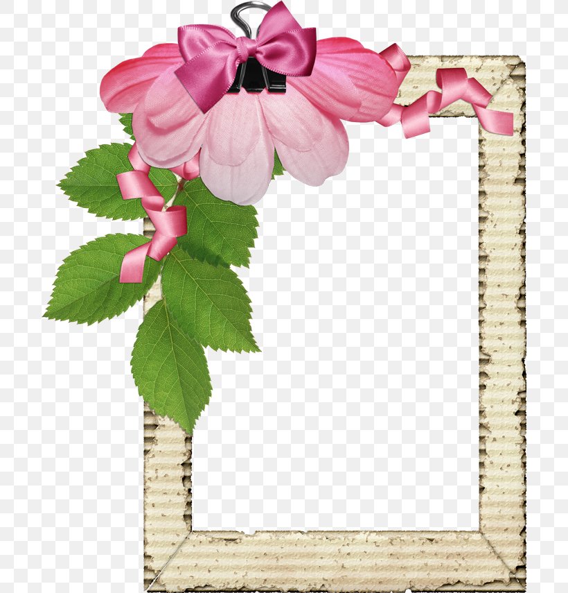 Pink Flower Border Frame, PNG, 700x855px, Yellow, Blue, Cut Flowers, Designer, Flora Download Free