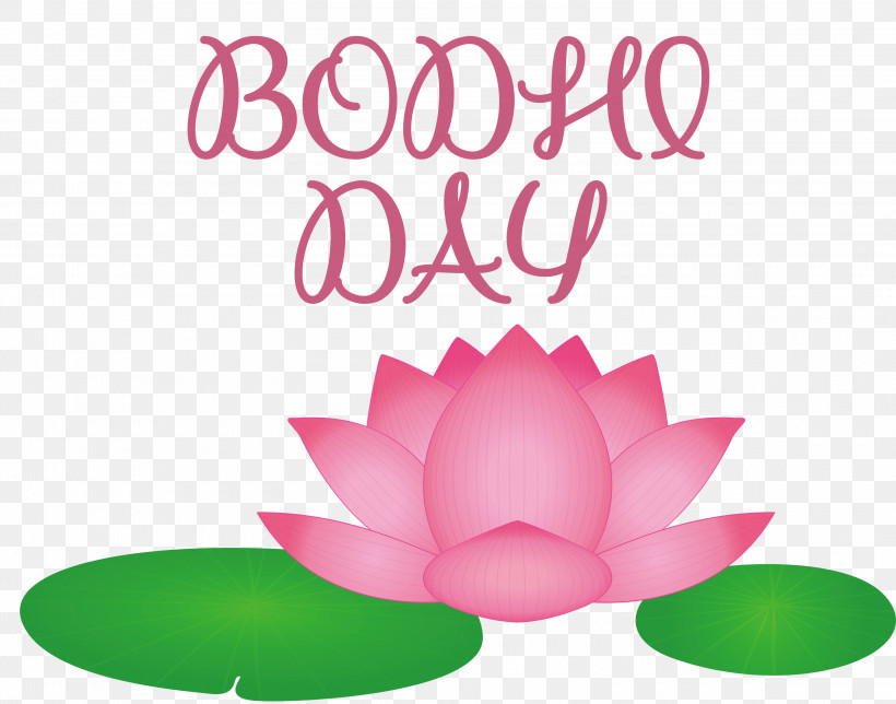 Bodhi Day, PNG, 3000x2357px, Bodhi Day, Biology, Flower, Meter, Petal Download Free