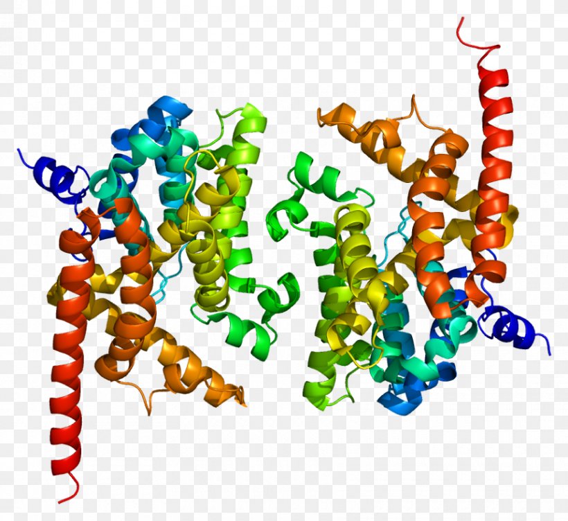 CGMP-specific Phosphodiesterase Type 5 Cyclic Guanosine Monophosphate Cyclic Nucleotide Phosphodiesterase PDE9A, PNG, 860x789px, Phosphodiesterase, Art, Cyclic Adenosine Monophosphate, Cyclic Guanosine Monophosphate, Cyclic Nucleotide Download Free