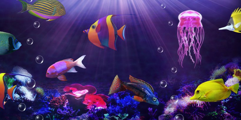 Elements 0 Candy, PNG, 1600x800px, Elements, Android, Android Jelly Bean, Aquarium, Aquarium Lighting Download Free