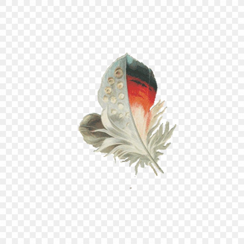 Feather Animation Clip Art, PNG, 2953x2953px, Feather, Animation, Bird, Blog, Gratis Download Free