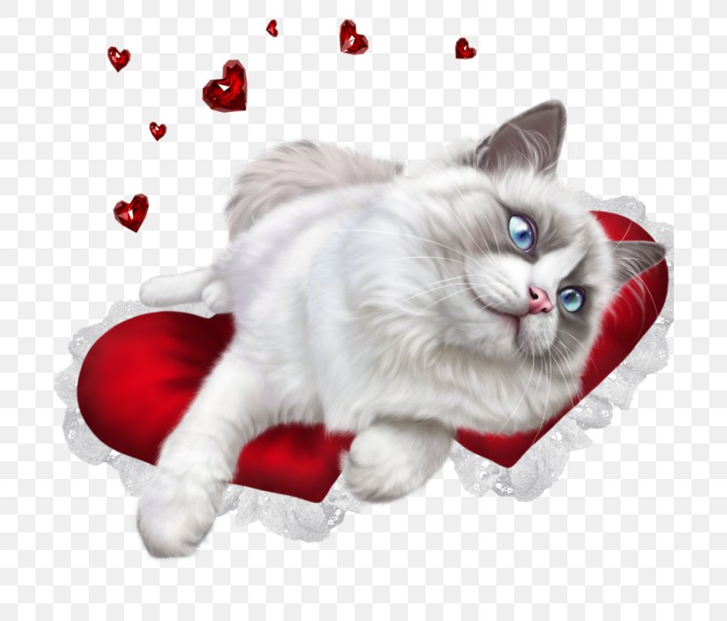 Persian Cat Ragdoll Kitten British Shorthair Aegean Cat, PNG, 700x700px, Persian Cat, Aegean Cat, Animal, British Shorthair, Carnivoran Download Free