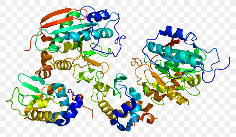 B4GALT1 Protein Structure Gene Galactosyltransferase, PNG, 1063x616px, Watercolor, Cartoon, Flower, Frame, Heart Download Free