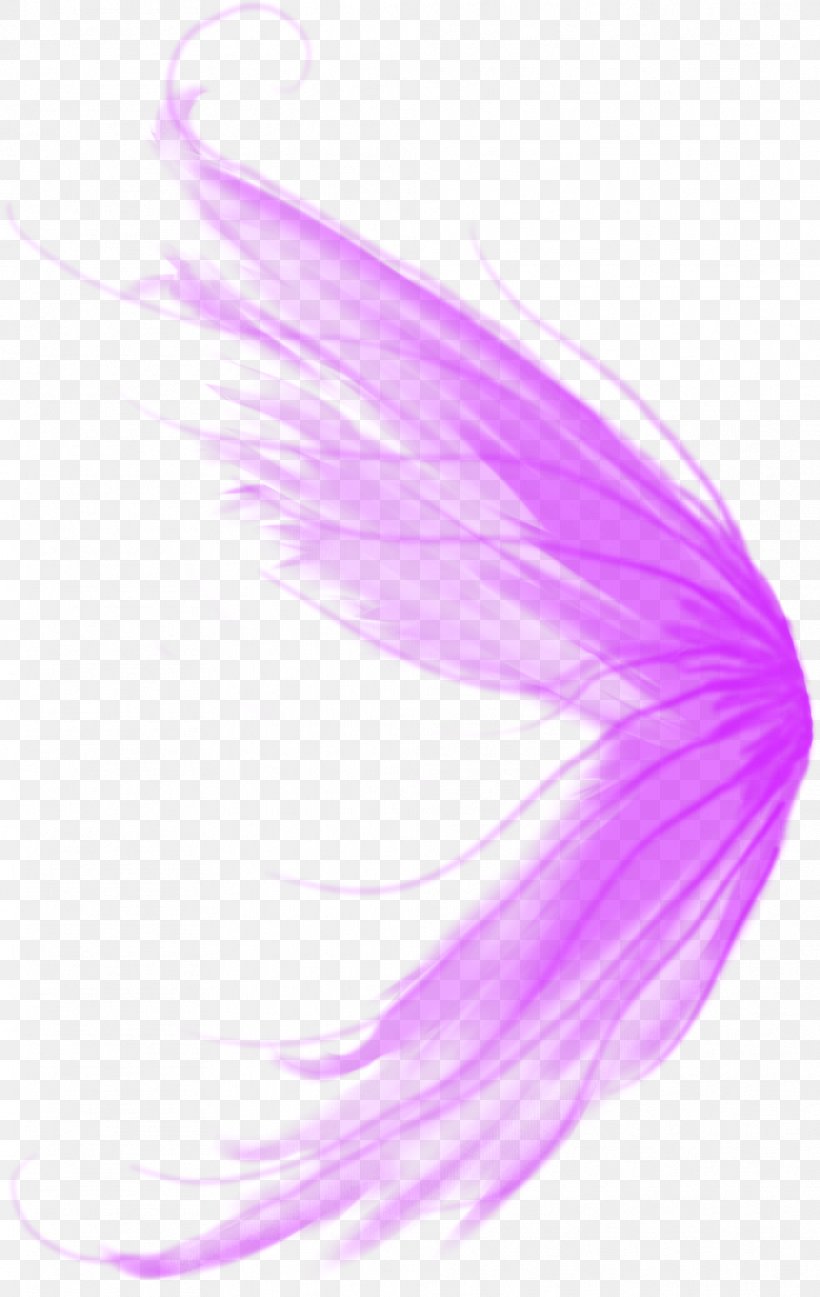 Brush Color PhotoScape March 5 Download, PNG, 1011x1600px, Brush, Color, Feather, Lilac, Magenta Download Free