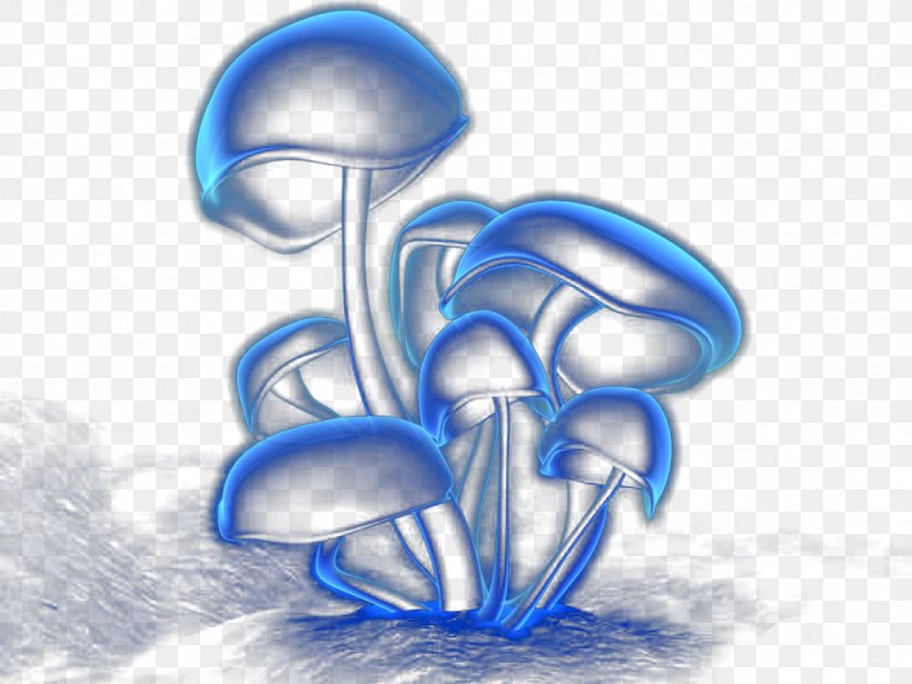 Fungus Drawing Wallpaper, PNG, 1024x768px, Watercolor, Cartoon, Flower, Frame, Heart Download Free