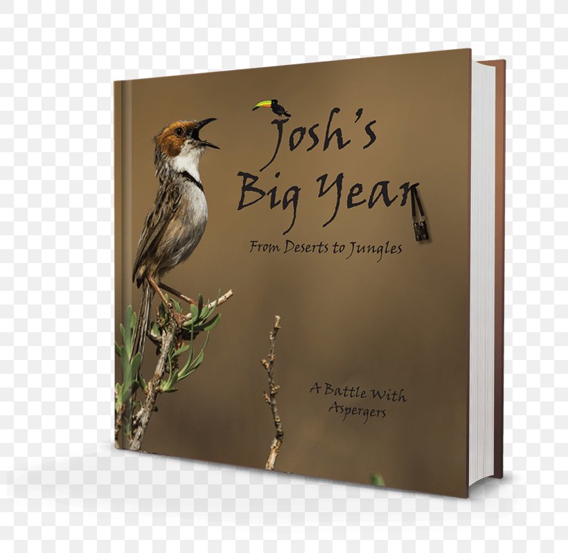 Birdwatching Big Year Book South Africa, PNG, 800x799px, Bird, Advertising, Africa, Author, Big Year Download Free