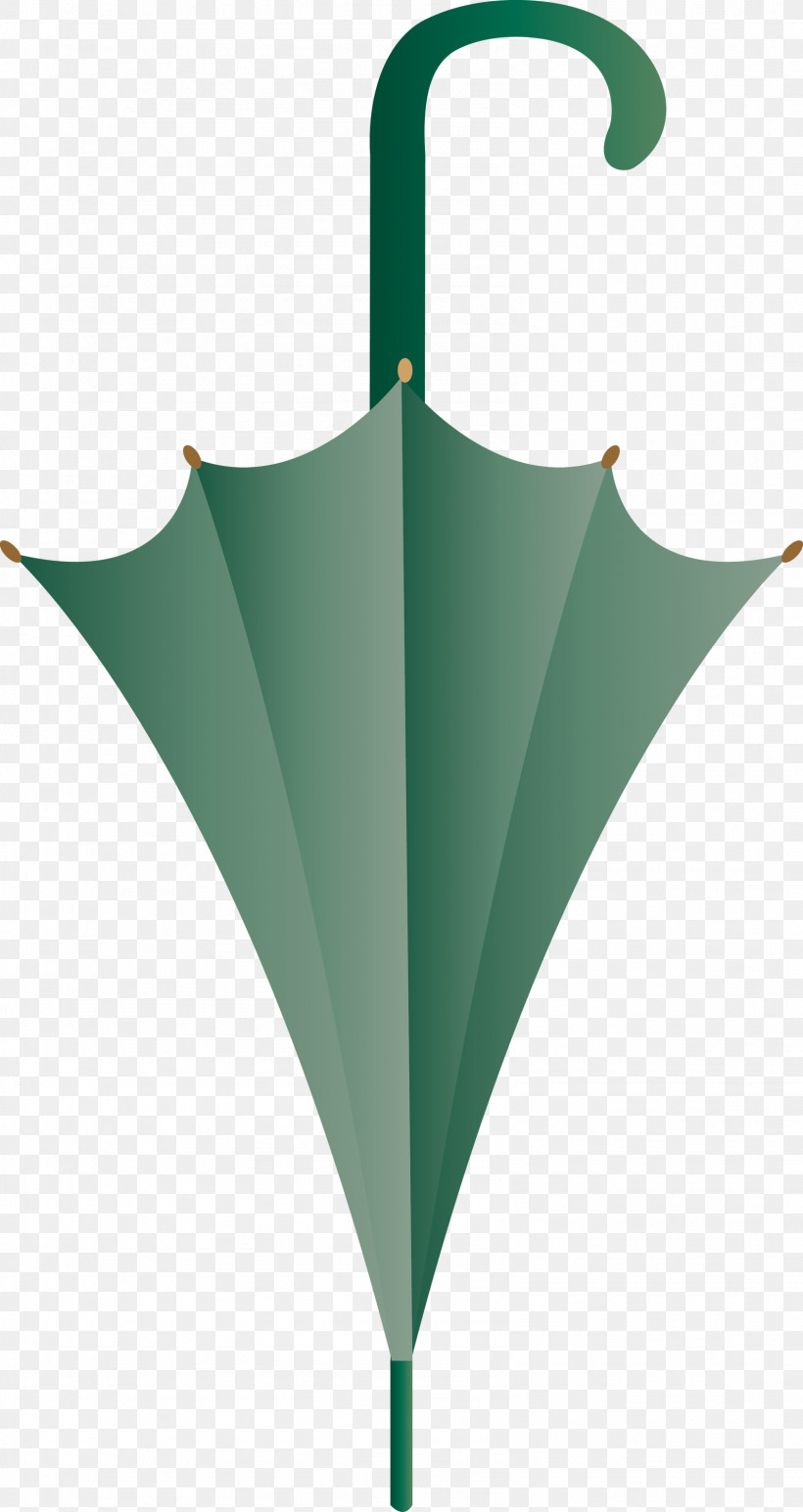 Green Leaf Umbrella Plant Logo, PNG, 1591x2999px, Green, Leaf, Logo, Plant, Umbrella Download Free