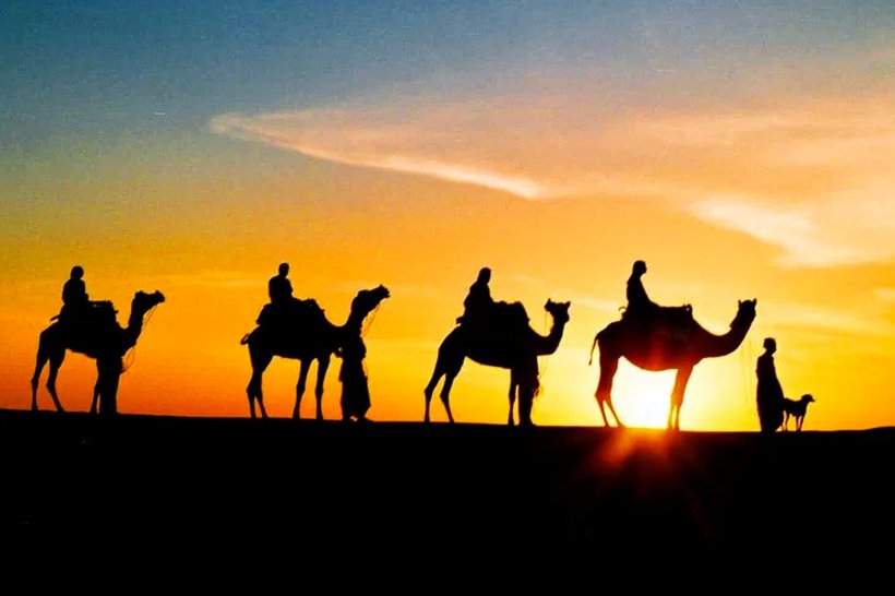 Jaisalmer Jaipur Jodhpur Pushkar Camel Safari, PNG, 1920x1280px, Jaisalmer, Arabian Camel, Bikaner, Camel, Camel Like Mammal Download Free