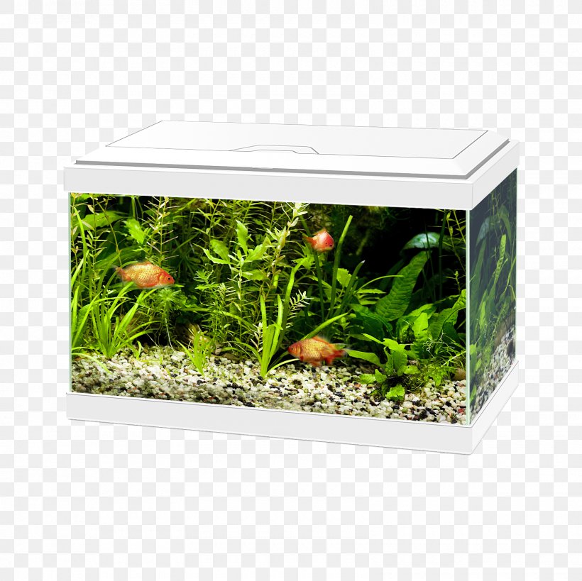 Lighting Aquarium Filters Light-emitting Diode, PNG, 1600x1600px, Light, Aquarium, Aquarium Decor, Aquarium Filters, Aquatic Plant Download Free