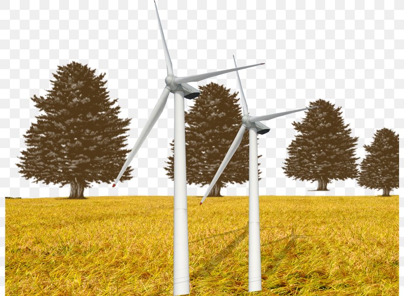 Windmill Paddy Field Rice, PNG, 800x600px, Windmill, Crop, Energy, Farm, Field Download Free