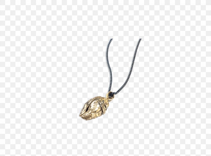 Locket Necklace Body Jewellery, PNG, 1093x808px, Locket, Body Jewellery, Body Jewelry, Fashion Accessory, Jewellery Download Free