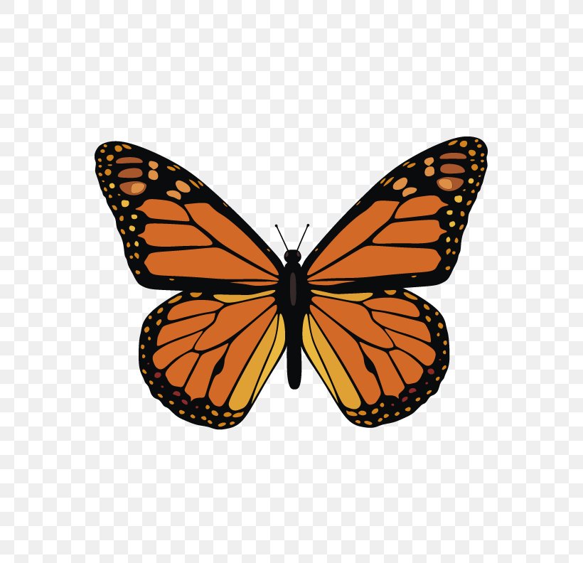 The Monarch Butterfly Clip Art Vector Graphics, PNG, 612x792px, Butterfly, Arthropod, Brush Footed Butterfly, Brushfooted Butterflies, Butterflies And Moths Download Free